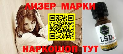 крисы Новозыбков