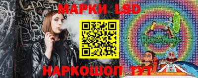 крисы Новозыбков