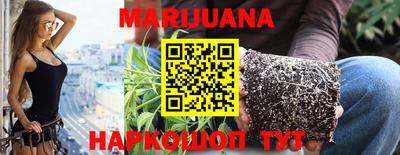 крисы Новозыбков