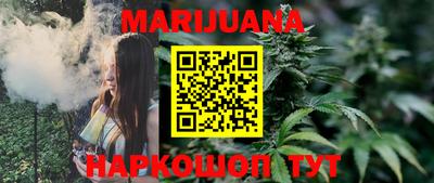 крисы Новозыбков