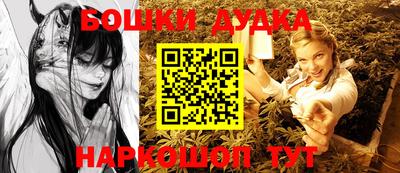 крисы Новозыбков