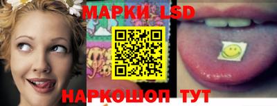 крисы Новозыбков