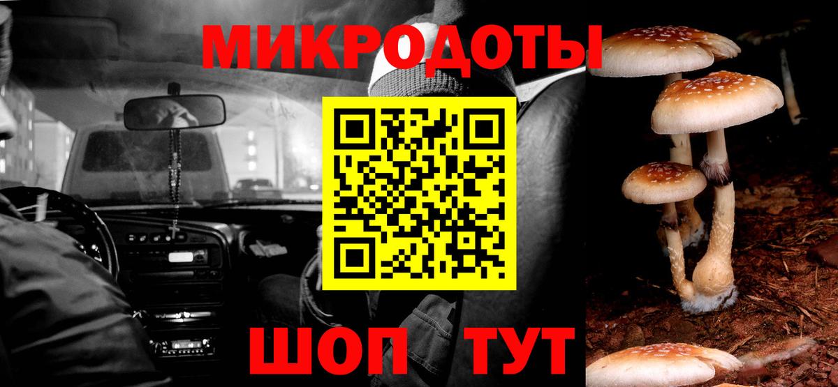 Галлюциногенные грибы мицелий  Вход с VPN  купить наркотики сайты  Павловский Посад 